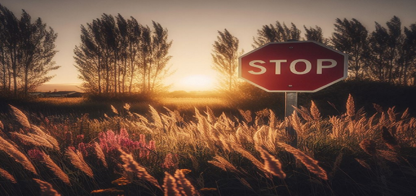 Stop signal prediction imagen